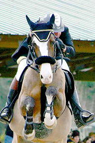 January Jazz 2008